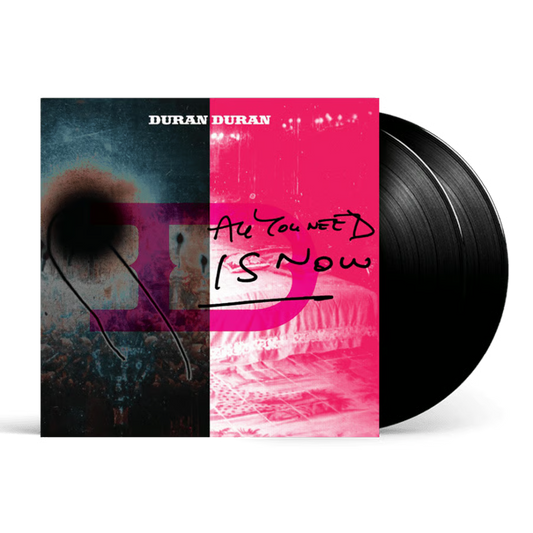 All You Need Is Now - Vinyl 2LP